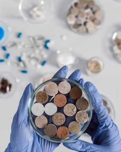 Close-up of gloved hands holding a petri dish with various soil samples for scientific analysis.